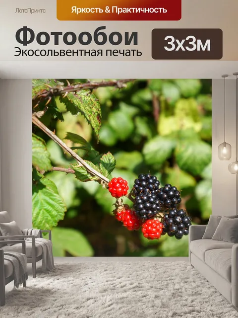 Фотообои Чернить