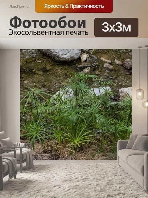 Фотообои Спикские речные растения