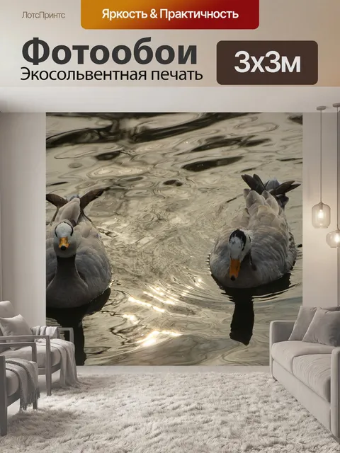 Фотообои Птица