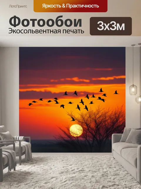 Фотообои летящие птицы на фоне заката