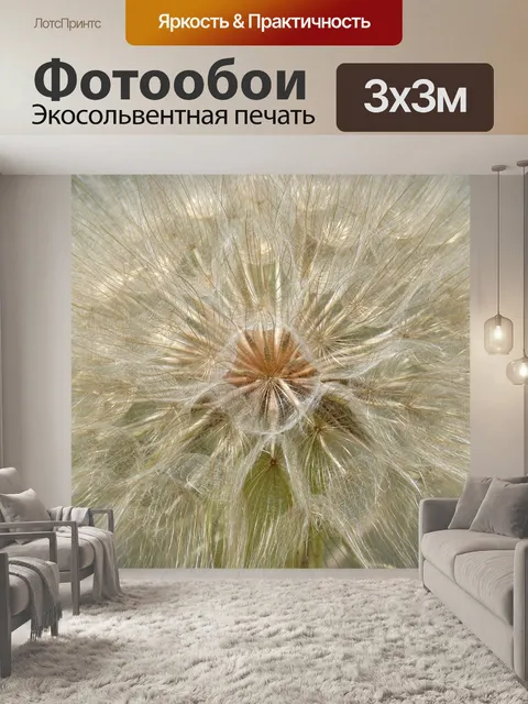 Фотообои Одуванчик