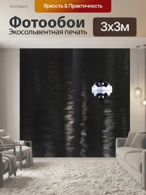 Фотообои Птица