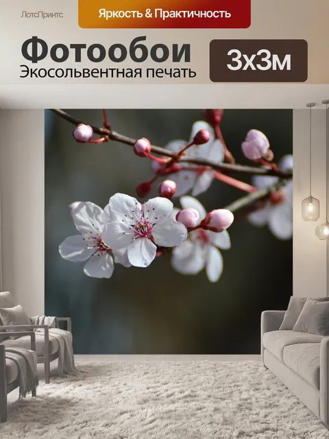 Фотообои Цветение вишни