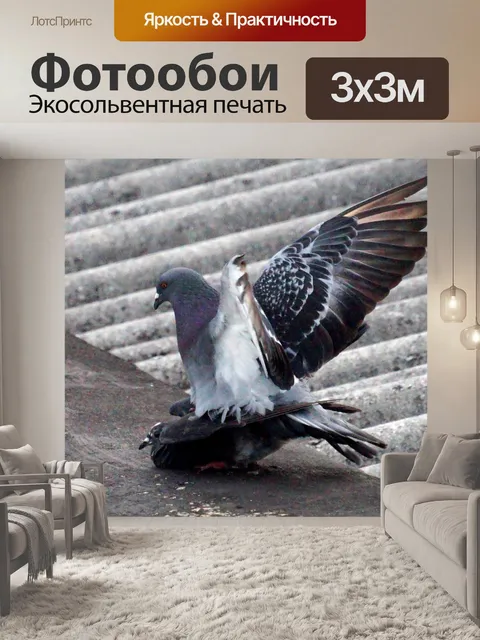 Фотообои Птицы