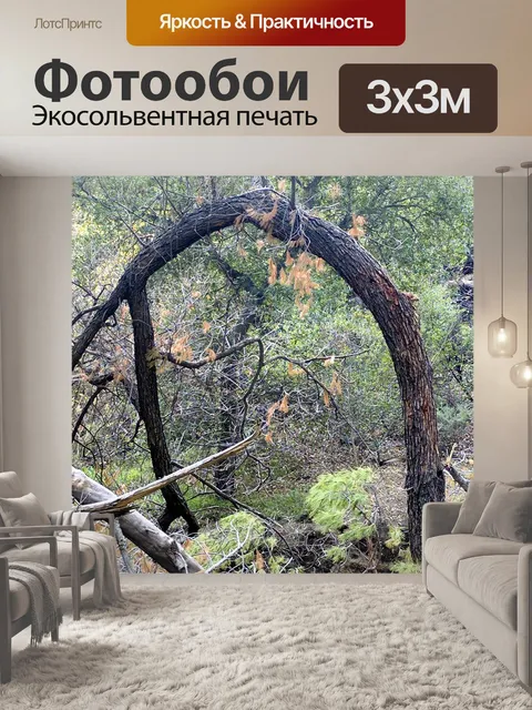 Фотообои Изогнутые Дерево