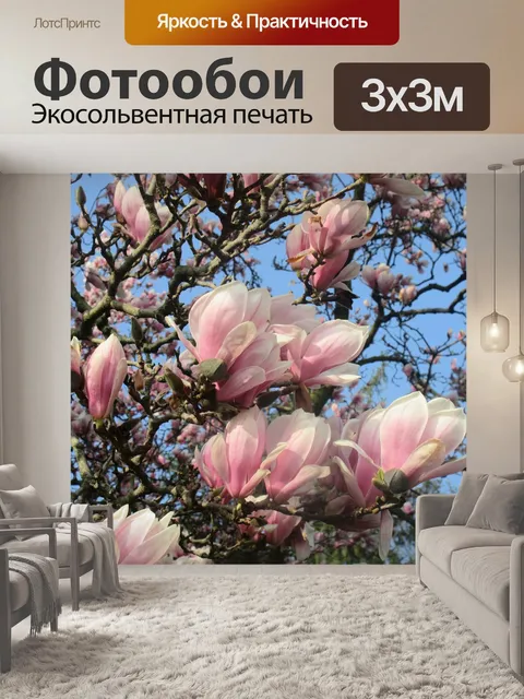 Фотообои Тюльпан