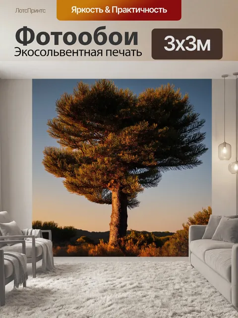 Фотообои кипарис с листьями, tinged в последних оттенках заката, в контексте уединенной природы