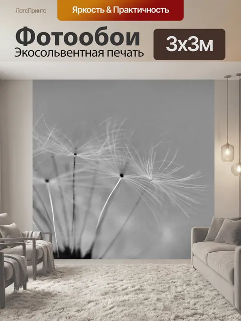 Фотообои Одуванчик