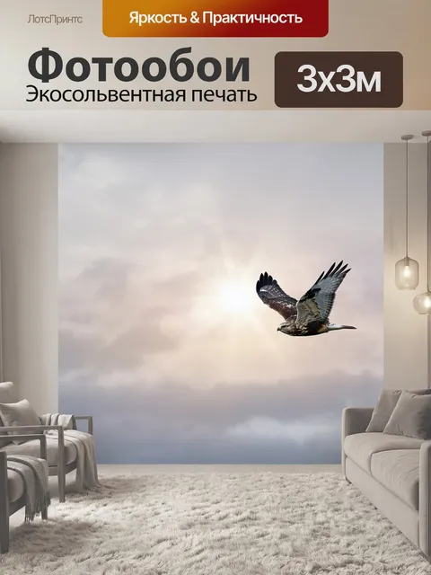 Фотообои Птица