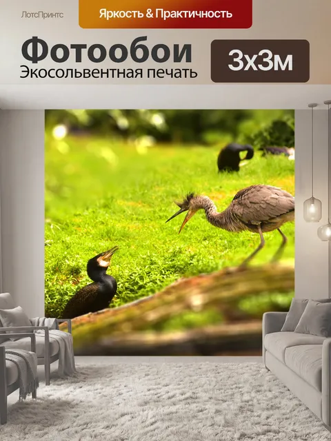 Фотообои Птицы