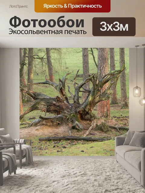 Фотообои Корень
