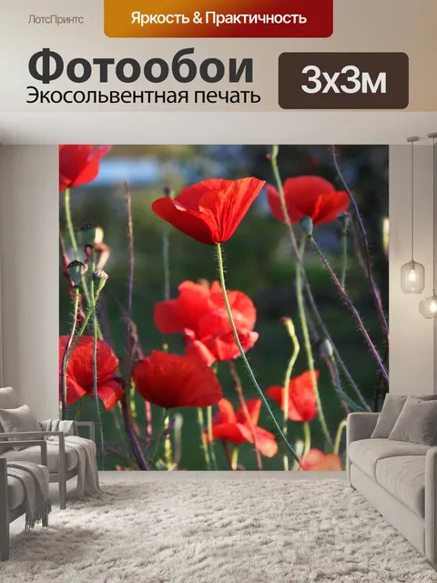 Фотообои Цветы