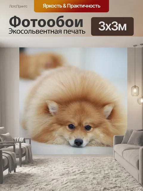 Фотообои Немецкий