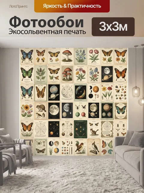 Фотообои Набор винтажных природных иллюстраций