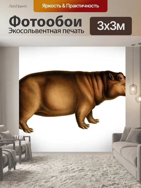 Фотообои Бегемот Винтаж клипарт искусство
