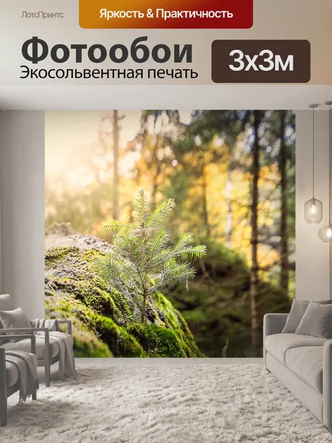 Фотообои Лес