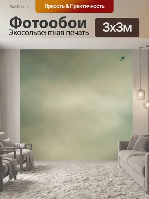 Фотообои Самолет
