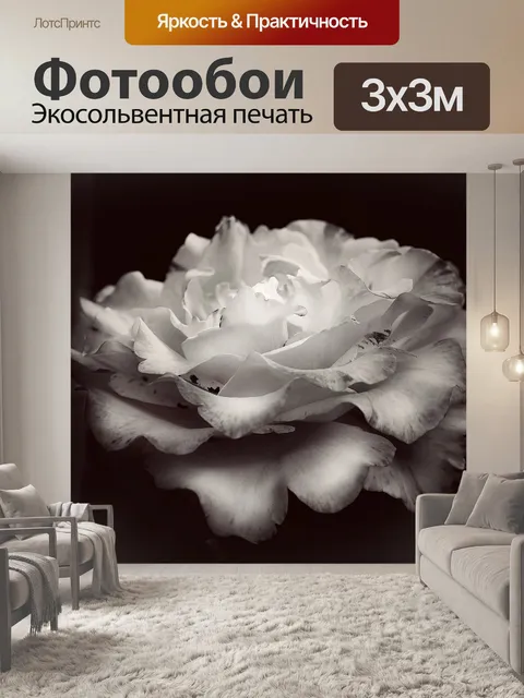 Фотообои Роза