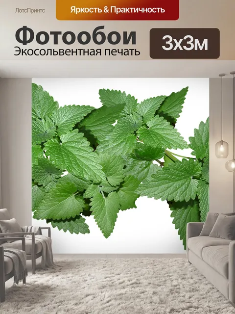 Фотообои Листья