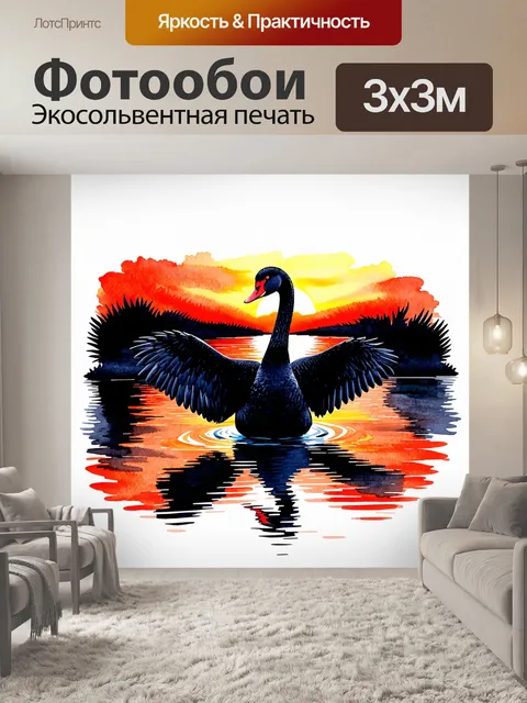 Фотообои вечерняя сцена у пруда, где черный лебедь расправляет свои крылья под ярким закатом