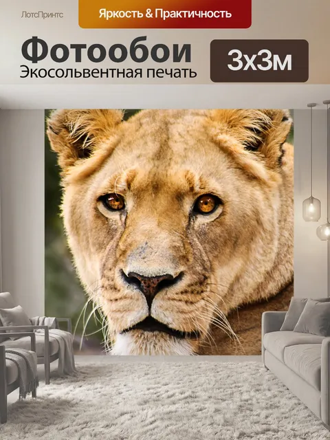 Фотообои Львица