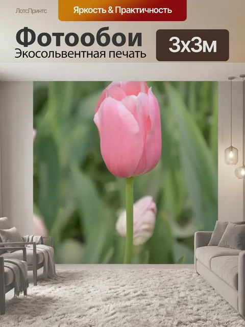 Фотообои Розовый