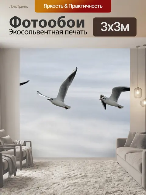 Фотообои Рейс