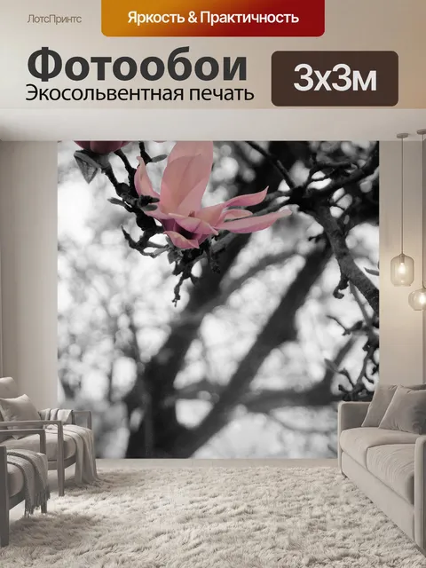 Фотообои Слива на серый
