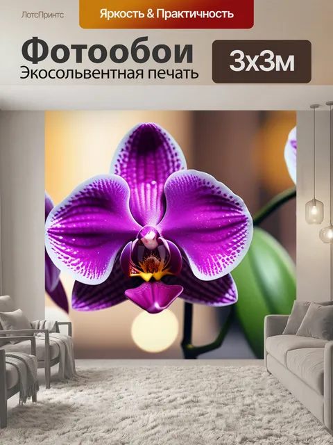 Фотообои с орхидеей минимал