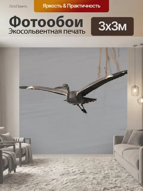 Фотообои Полет