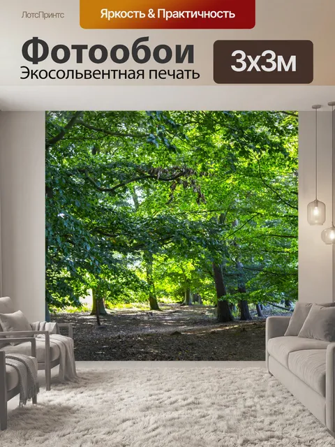 Фотообои лес