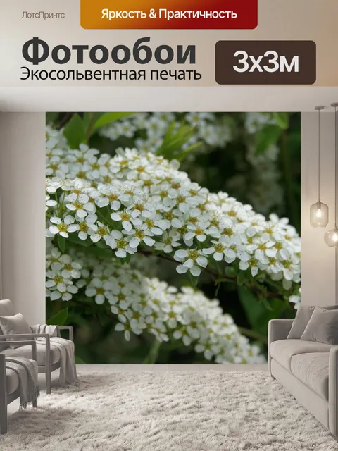 Фотообои Цветы