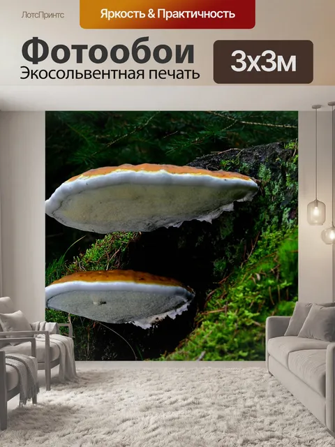 Фотообои Природа