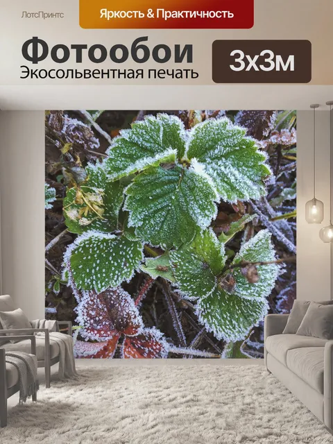 Фотообои Листья