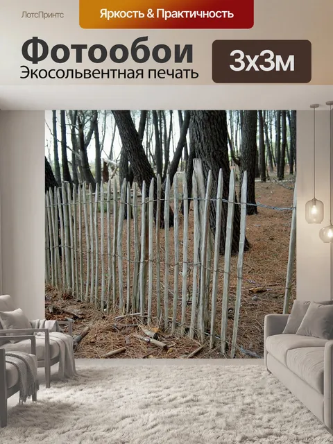 Фотообои Лес
