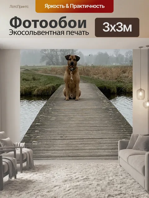 Фотообои Собака