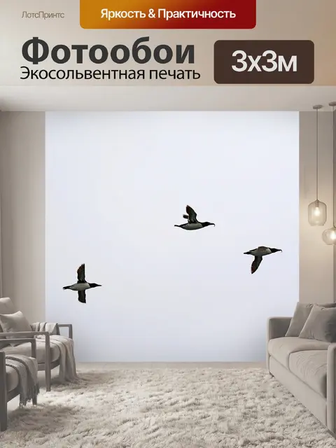 Фотообои Кайры в полете