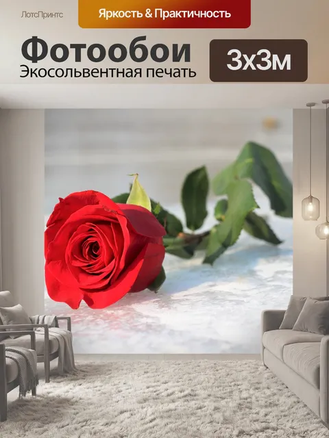 Фотообои Красная роза на льду
