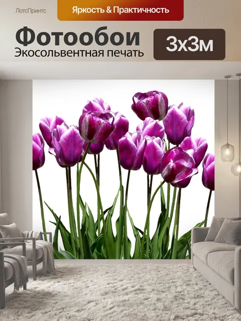 Фотообои Тюльпаны