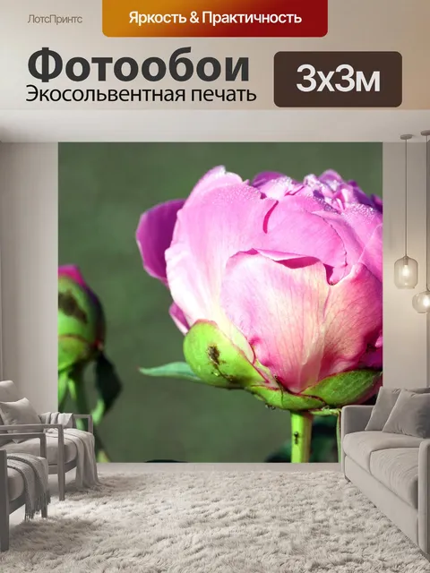 Фотообои Цветы