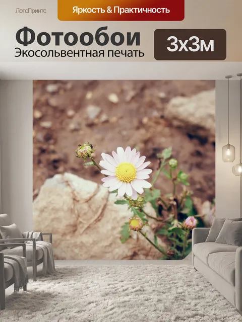 Фотообои Полевые цветы