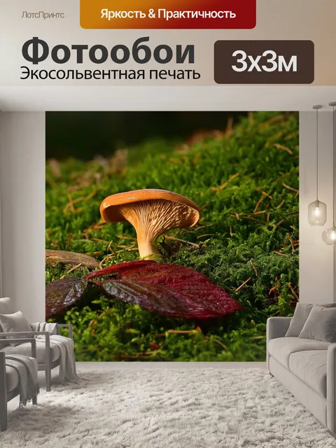Фотообои Гриб
