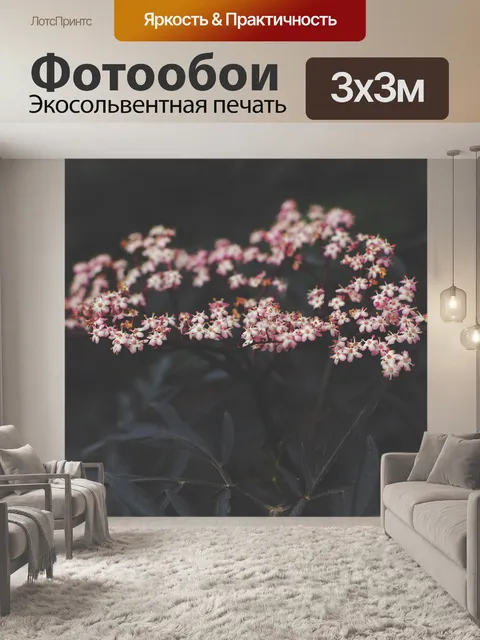 Фотообои Цветы