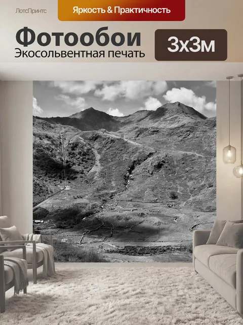 Фотообои Черно-белый
