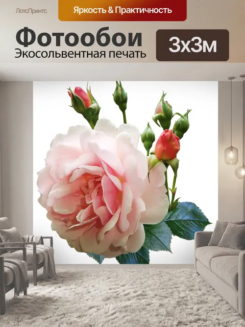 Фотообои Роза