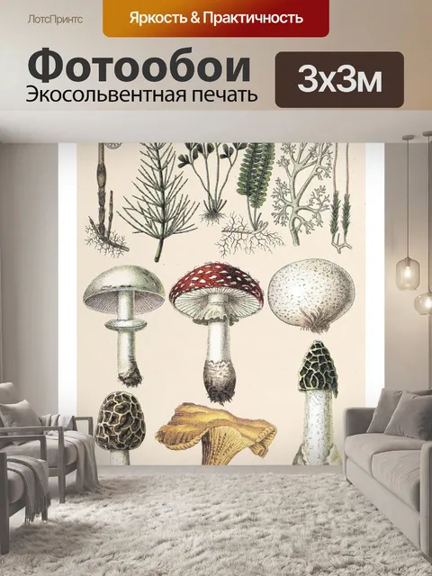 Фотообои Винтажная иллюстрация чемпиона грибов