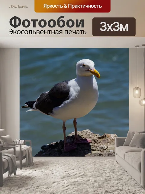 Фотообои Чайка на море