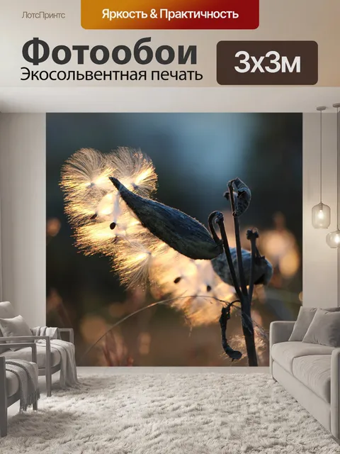 Фотообои Цветок