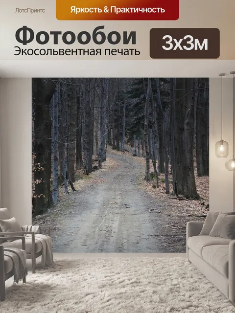 Фотообои Путь