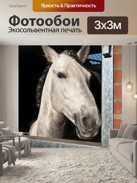 Фотообои Лошадь